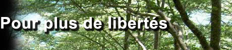 Dmocratie Plus photo
